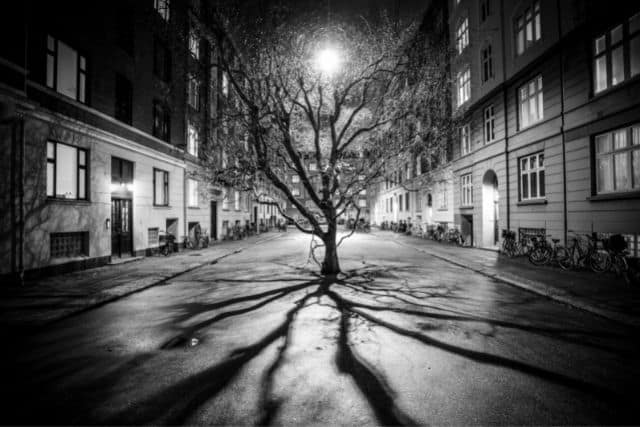 La resilienza psicologica come risorsa per l’expat